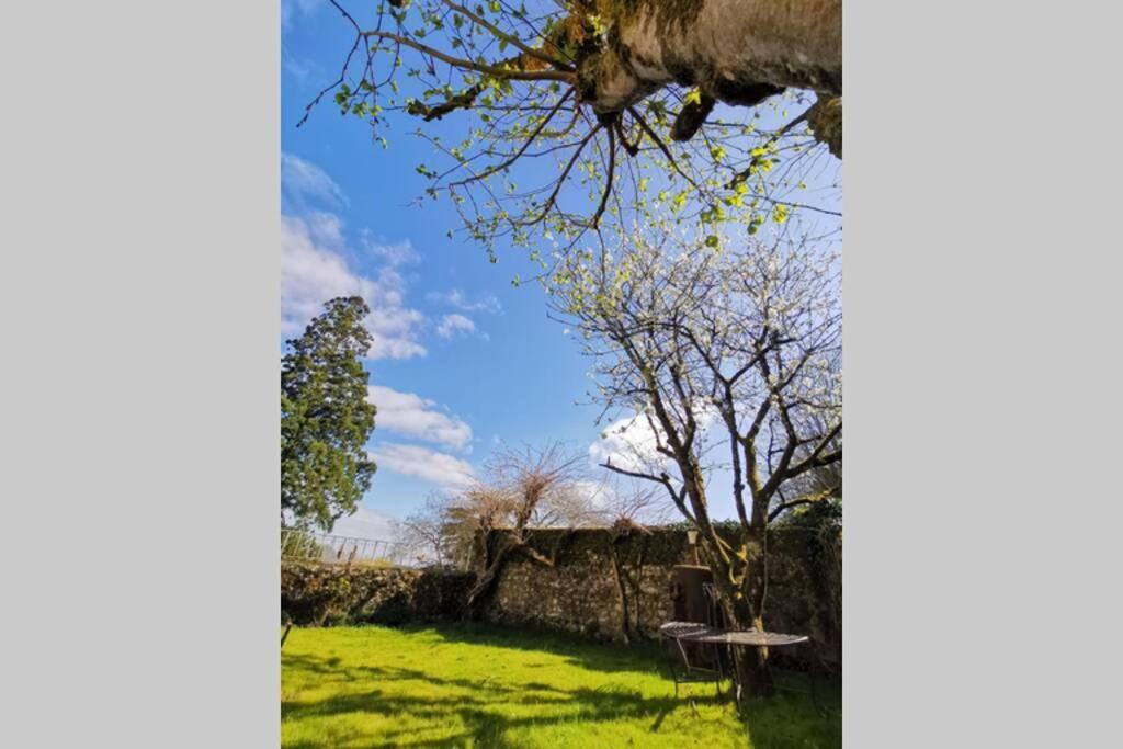 Amalouyse Studio De Charme Au Coeur Des Chateaux De Loire مونتلويس سور لوار المظهر الخارجي الصورة