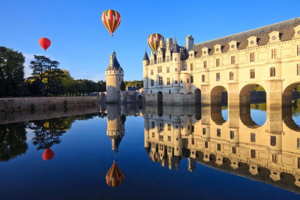 Amalouyse Studio De Charme Au Coeur Des Chateaux De Loire مونتلويس سور لوار المظهر الخارجي الصورة