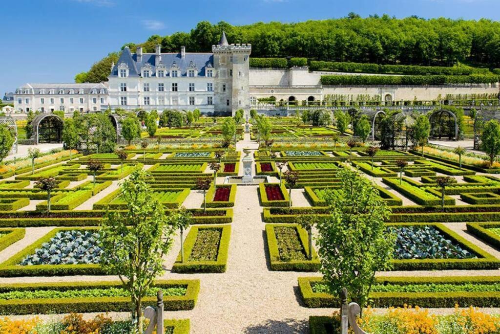 Amalouyse Studio De Charme Au Coeur Des Chateaux De Loire مونتلويس سور لوار المظهر الخارجي الصورة