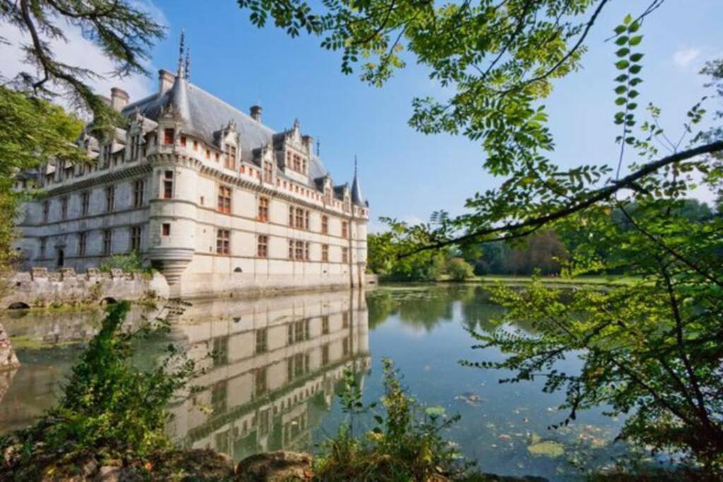Amalouyse Studio De Charme Au Coeur Des Chateaux De Loire مونتلويس سور لوار المظهر الخارجي الصورة