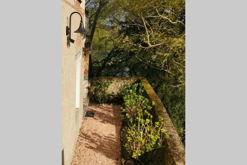 Amalouyse Studio De Charme Au Coeur Des Chateaux De Loire مونتلويس سور لوار المظهر الخارجي الصورة